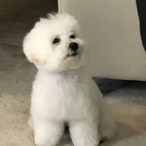 Meet your Posher, Tonza